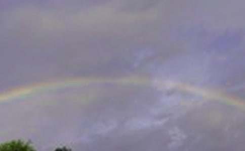 �ʺ��΢Ц����(5ƪ)