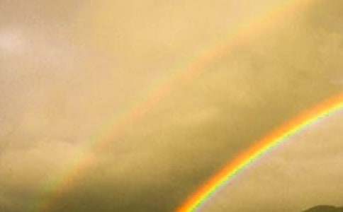 �����ʺ�����