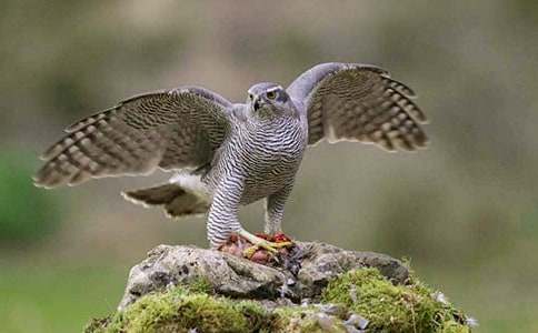 �n����������3ƪ