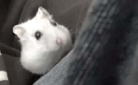 �茑�}���^�����ģ����x34ƪ��