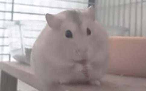 �^��}������