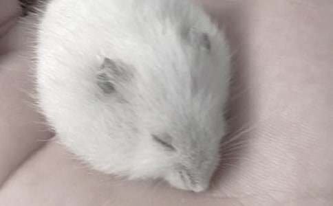 �������}(c��ng)���^����ӛ