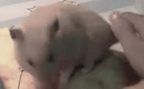 ���P(gu��n)�}(c��ng)���^����ӛ4ƪ