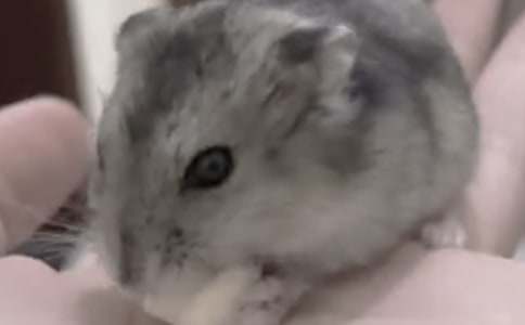 �}��Ȥ��ӛ��������