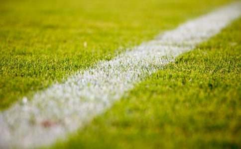 小學(xué)作文美麗的操場