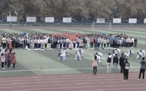 �����Ĳو�