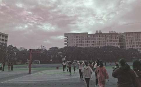 У�@�Ĳو�����