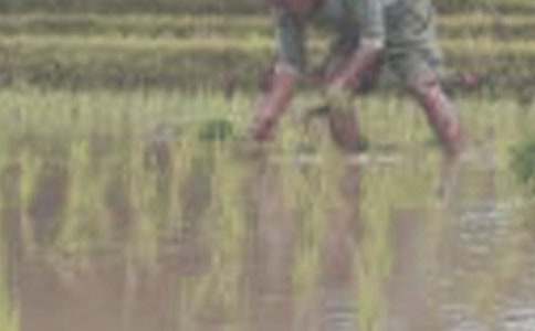 ��һ�β�������600��