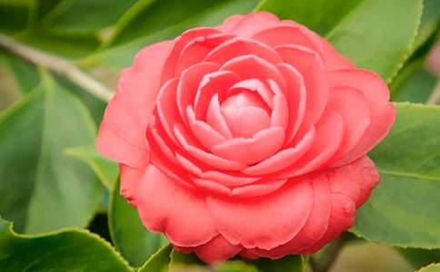 ɽ�軨������400�֣����x49ƪ��