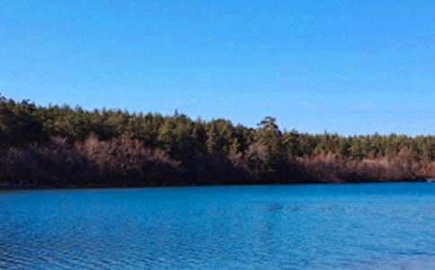 ���᡿�������L(zh��ng)��ɽ����