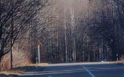 �����]���������L(zh��ng)��ɽ����