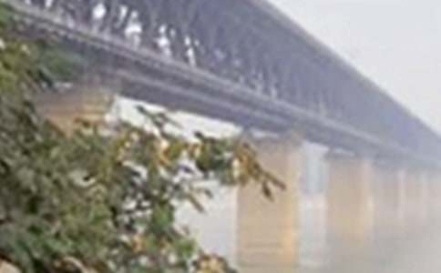 �������L(zh��ng)���������