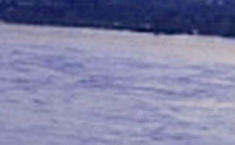 欣賞長江的作文