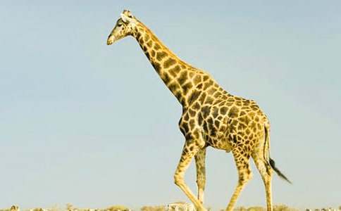 �L�i¹�Ⱥ�؂����