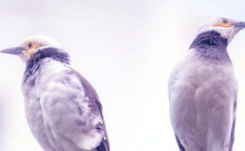 �֋���������300�֣�ͨ��25ƪ��