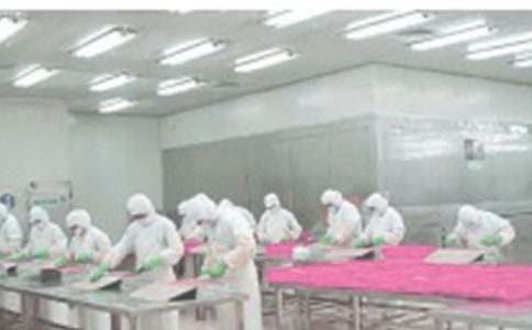 ܇�g�qĩ�����ȫ���a(ch��n)��z�鹤�����������x7ƪ��