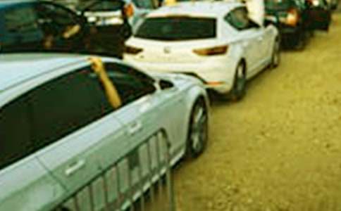 看車展作文600字8篇