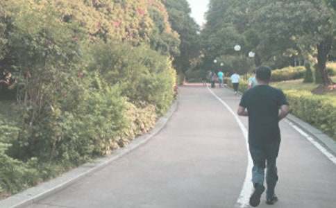 雨中晨跑小學(xué)作文(通用22篇)