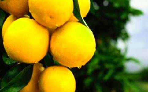 ���Ӹ����ǻ��\����������