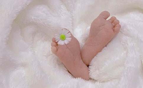 【精華】出生作文500字三篇