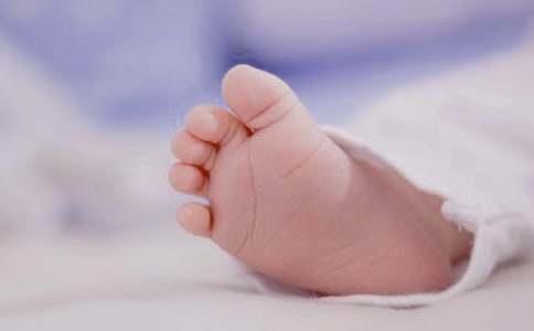 ���������ľ�������450��