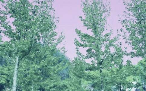 描寫春風(fēng)的作文(通用52篇)