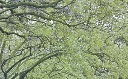 �����T���ȴ��L(f��ng)����ů����