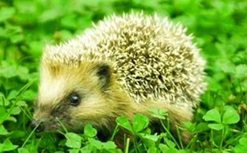 ����c��؂����