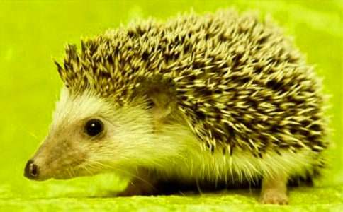 ��؂�ʹ�⬆�Ԫ����