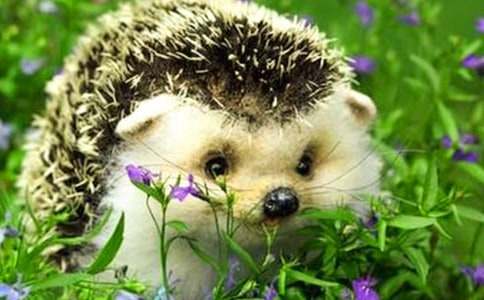 ��؂�ʹ�����ģ�ͨ��20ƪ��