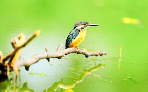 �����]�����B����300����ƪ