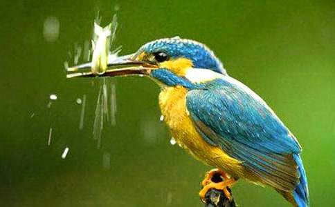 ���B���ĺϼ�8ƪ