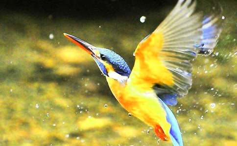 ���B������ƪ