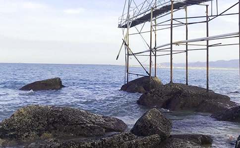 傾聽(tīng)大海的聲音初中作文600字