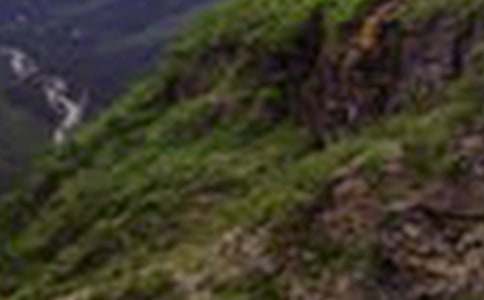 �����Ĵ�ɽ���ģ�ͨ��30ƪ��