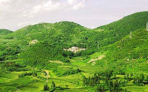 �����Ĵ�ɽ600������