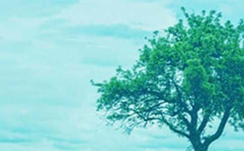 �������ģ���������