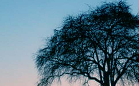 ������I������