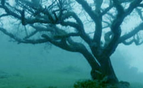 �������500��