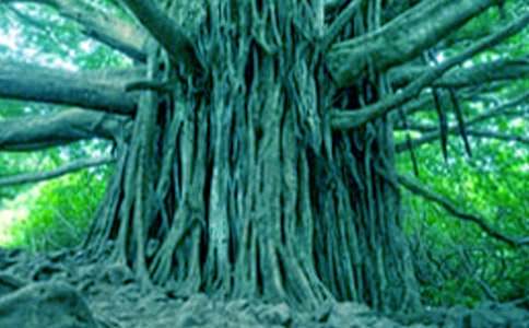 ����������������