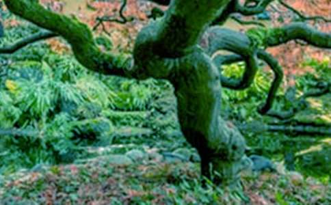 ����Ĵ������