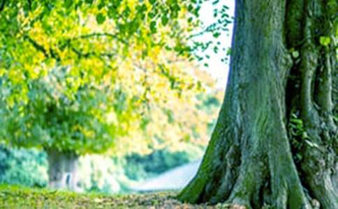 ������L������