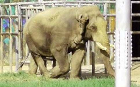 ���]�������С������