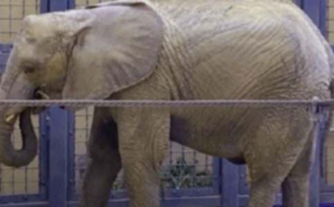 �����С�����ġ����T��