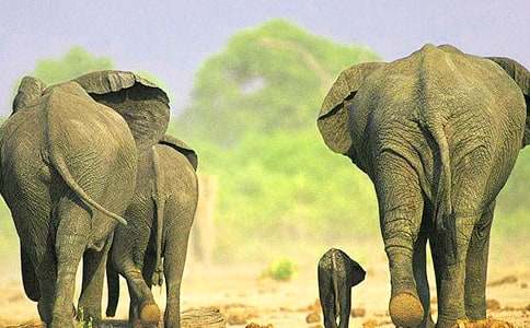 ���x��������300����ƪ