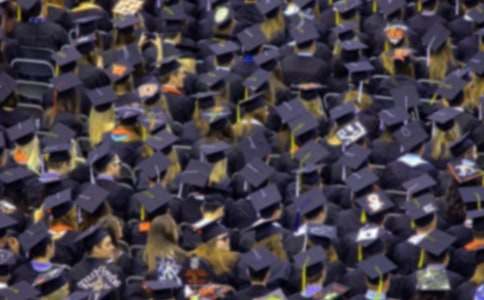 �ҵĴ�W(xu��)��������500�֣����x24ƪ��