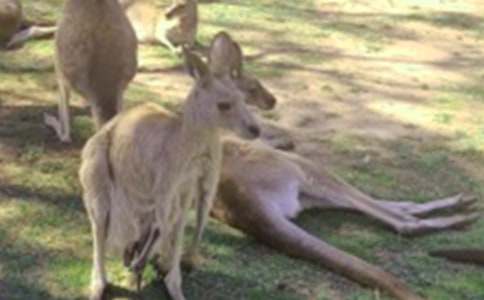 �����С�W���ķ��ģ�ͨ��40ƪ��