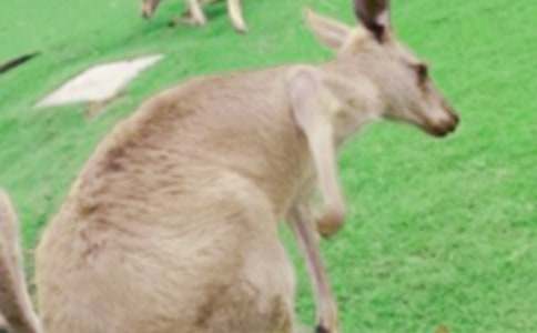 ��ȵ�С��������400��