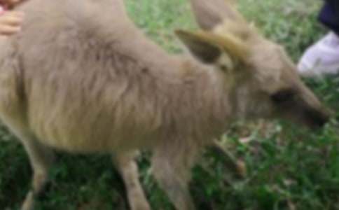 ��������600�ֺϼ���ƪ