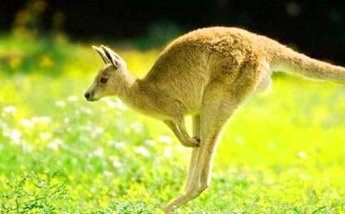 �茑���������500��